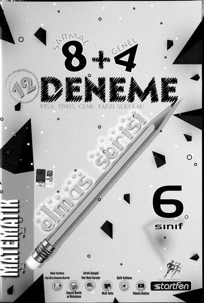 12 DENEME ELMAS SERİSİ MATEMATİK