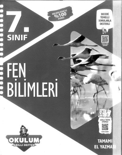 FEN BİLİMLERİ OKULUM AKILLI DEFTER Vega Efsanesi