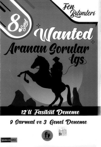 WANTED ARANAN SORULAR LGS 12'Lİ FASİKÜL DENEME Vega Efsanesi