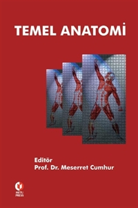 Temel Anatomi ODTÜ Yayıncılık Akademi Vega Efsanesi
