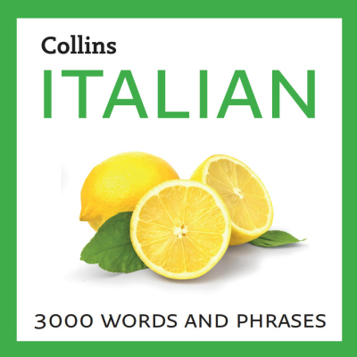Learn Italian: 3000 essential words and phrases Vega Efsanesi