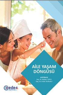 Aile Yaşam Döngüsü Hedef Yayınları Vega Efsanesi