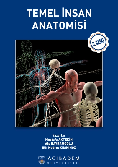 Temel İnsan Anatomisi Acıbadem Üniversitesi Vega Efsanesi