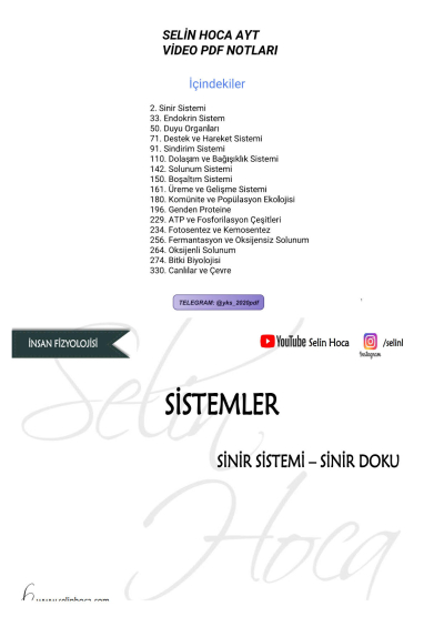 SELİN HOCA AYT Vega Efsanesi