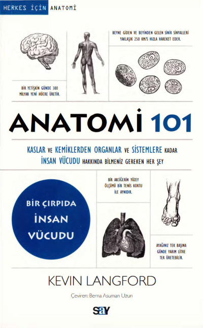Anatomi 101 Say Yayınları Vega Efsanesi